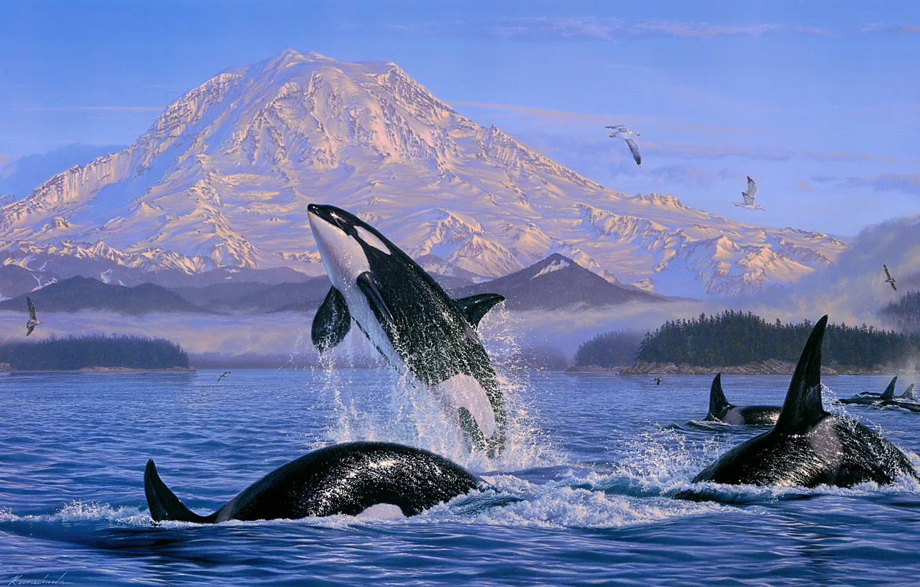 Photo wallpaper winter, sea, forest, snow, mountains, nature, fog, jump