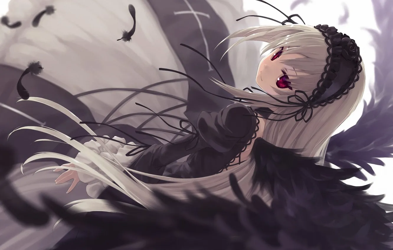 Photo wallpaper girl, wings, feathers, art, rozen maiden, suigintou, sumaki shungo