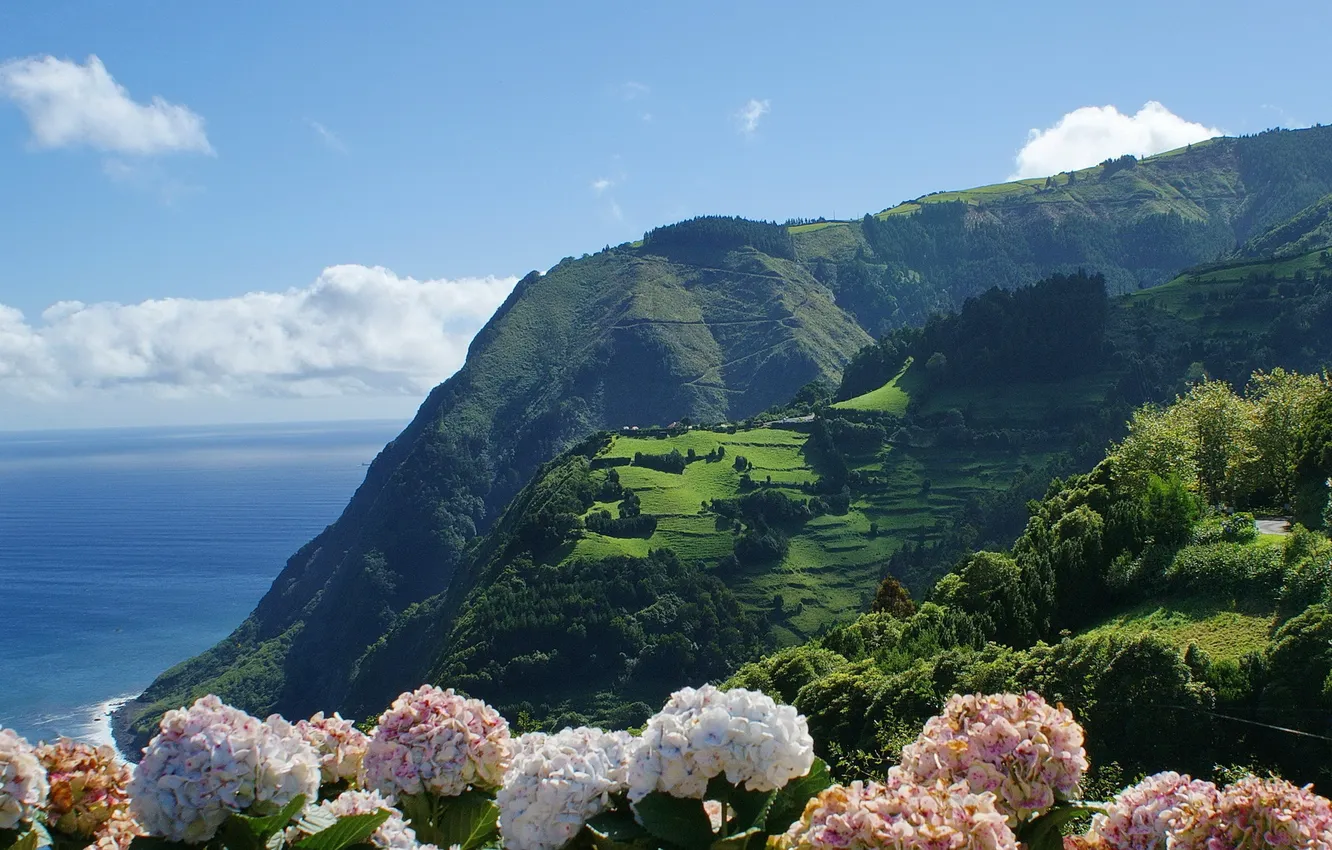 Photo wallpaper water, flowers, mountains