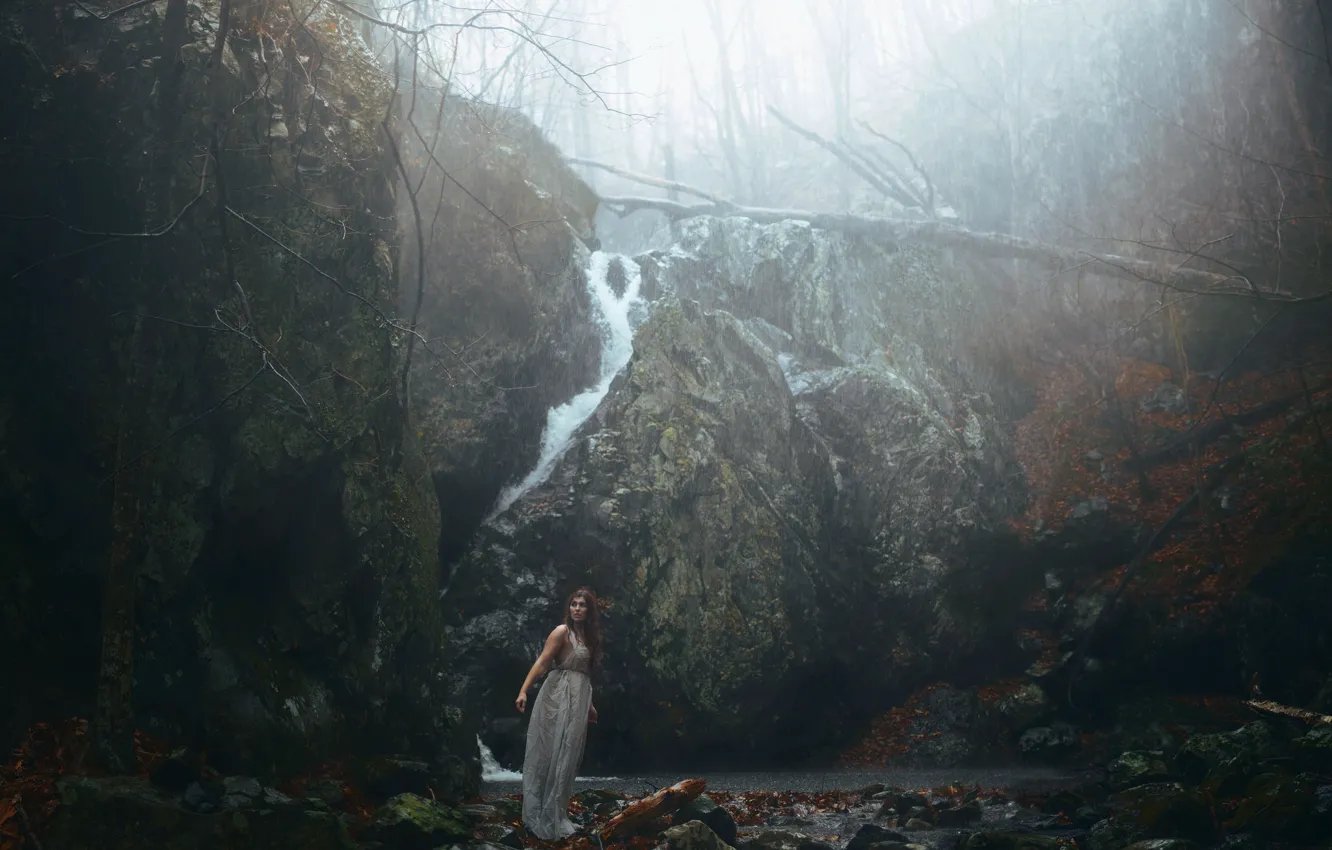 Photo wallpaper girl, stones, rain, decay, Aleah Michele, and cold winds, Black woods