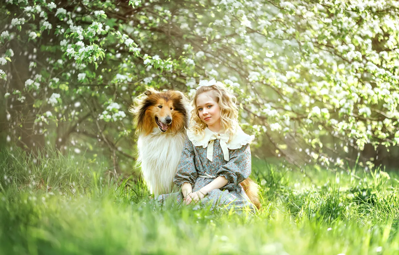 Photo wallpaper nature, dog, girl