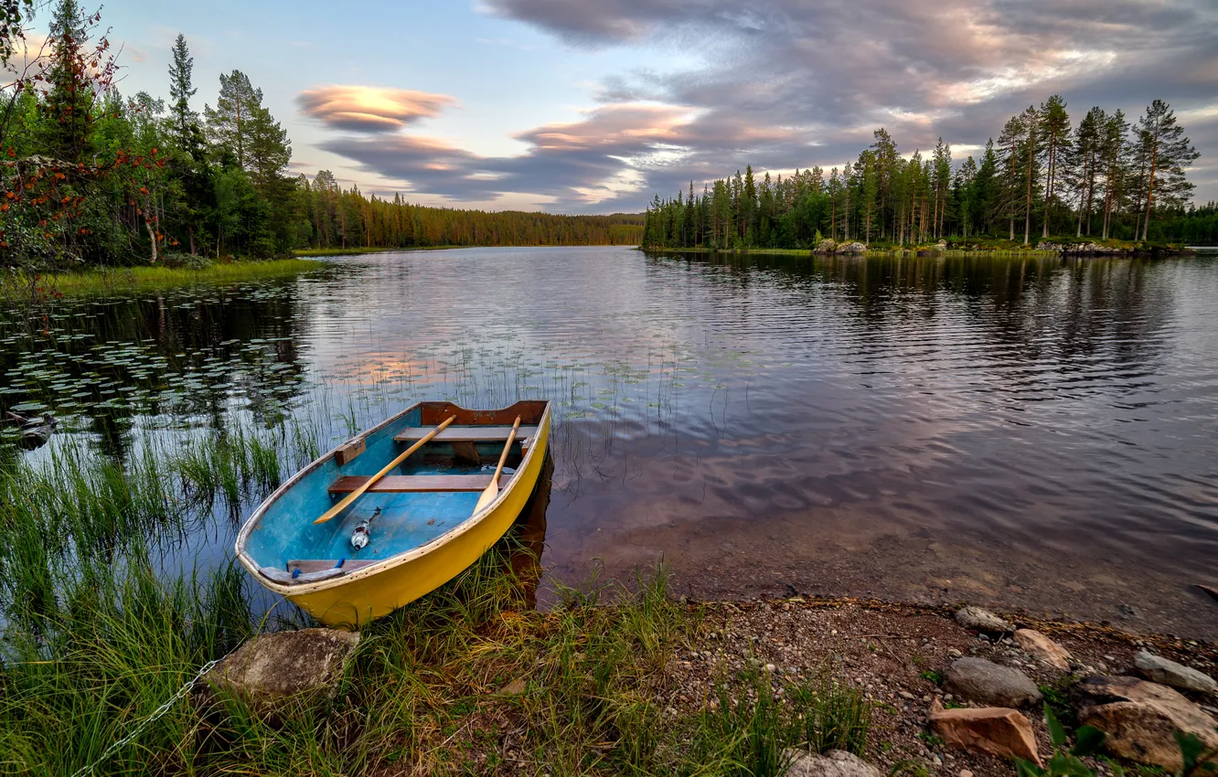 Photo wallpaper forest, trees, lake, stones, shore, boat, Norway, island