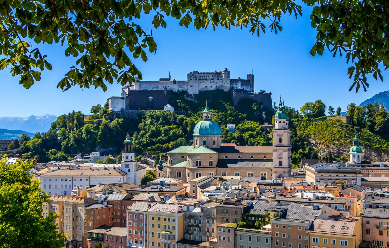 Photo wallpaper branches, building, Austria, panorama, Cathedral, fortress, Austria, Salzburg