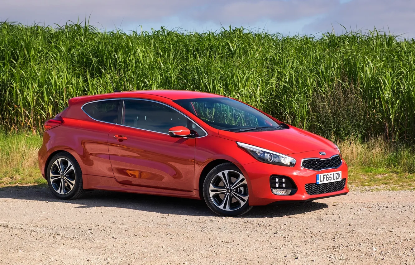 Photo wallpaper road, the sky, grass, red, red, sports, beautiful, drives