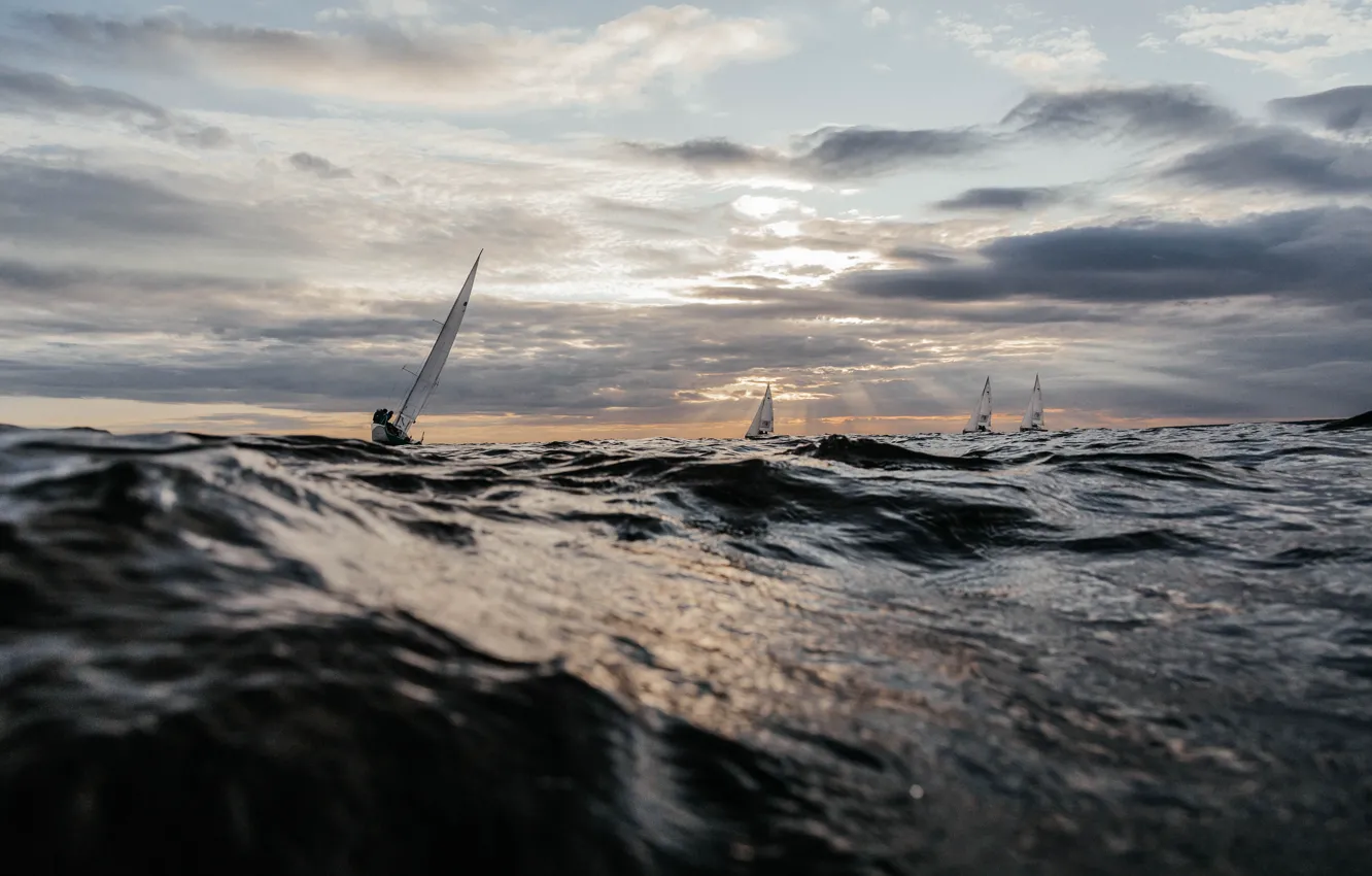 Photo wallpaper sea, sport, yachts, regatta