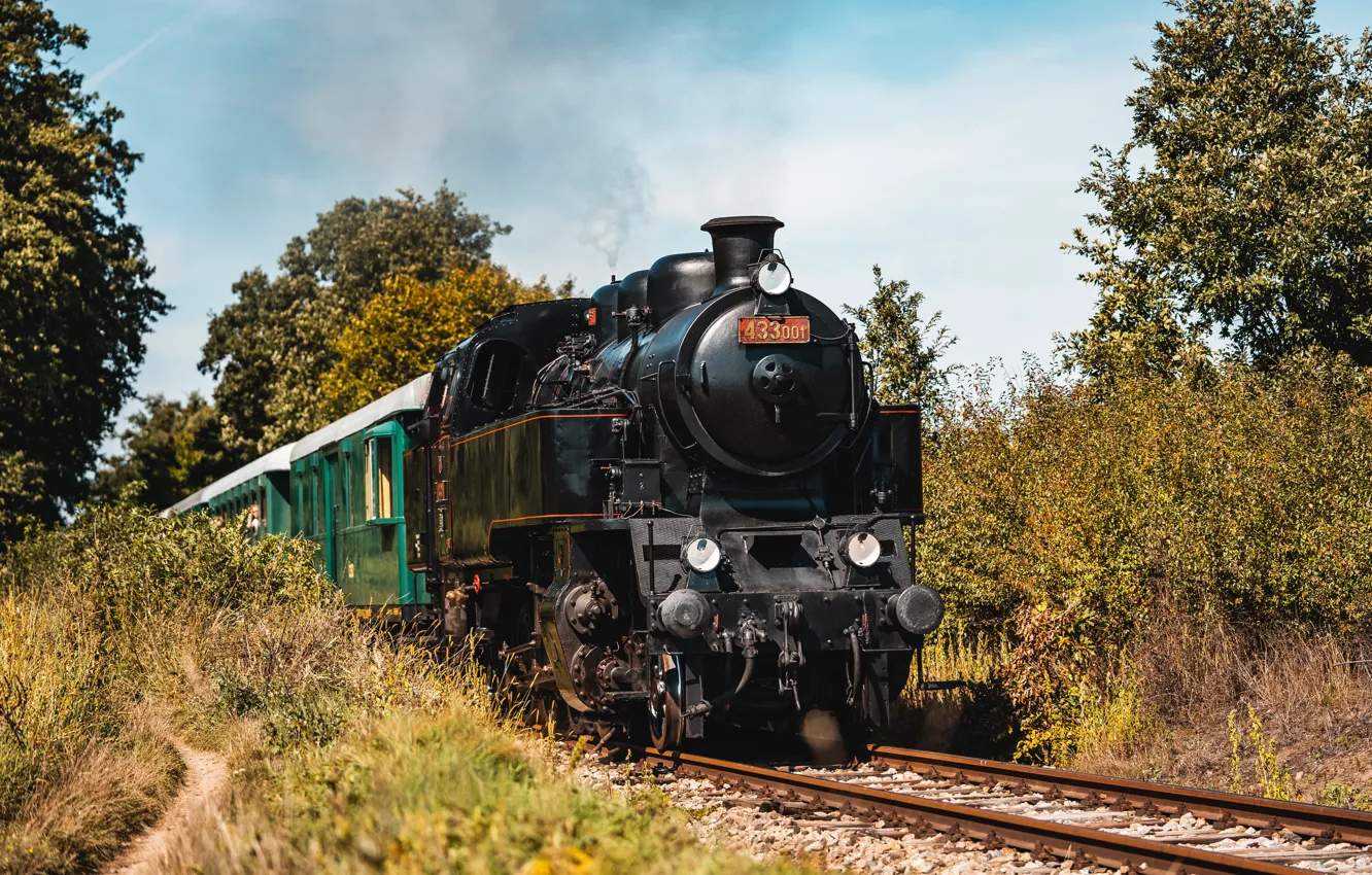 Photo wallpaper movement, train, the engine