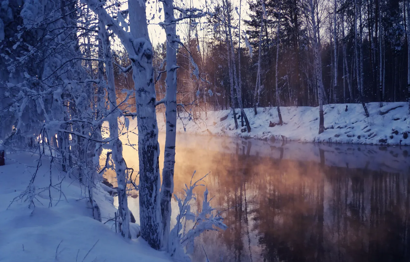 Photo wallpaper winter, snow, trees, lake, chill