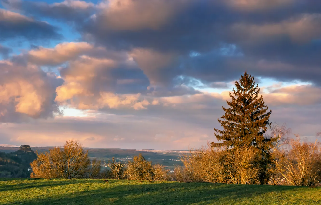 Photo wallpaper field, autumn, the sky, clouds, trees, autumn