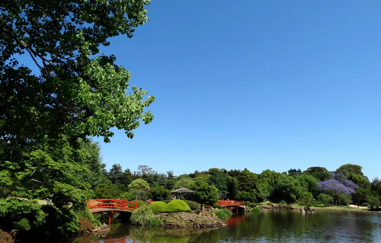 Photo wallpaper the sky, trees, pond, Park, stones, blue, Australia, the bridge