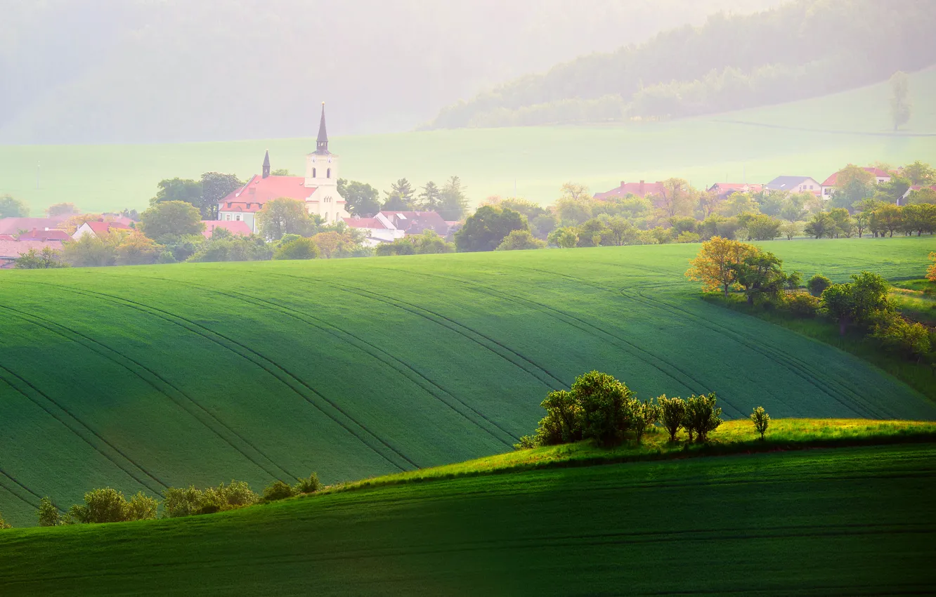 Photo wallpaper field, light, trees, home, spring, morning, Czech Republic, may