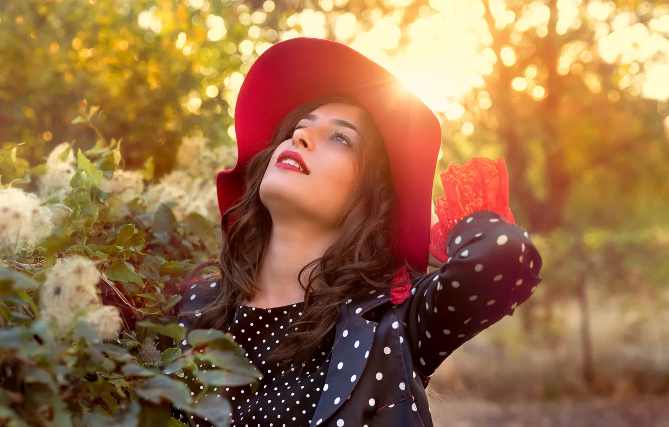 Photo wallpaper look, girl, the sun, rays, light, sunset, flowers, red