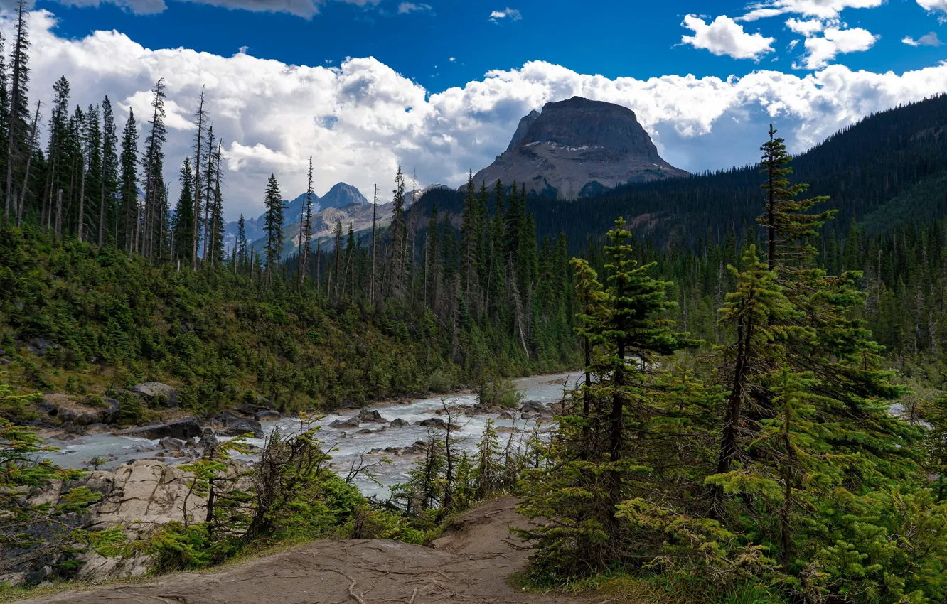 Photo wallpaper forest, mountains, nature, shore, Canada, Albert, pond