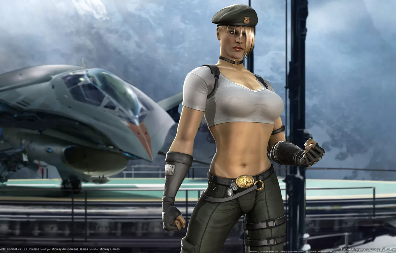 Photo wallpaper form, the plane, Sonya, Kombat, Mortal