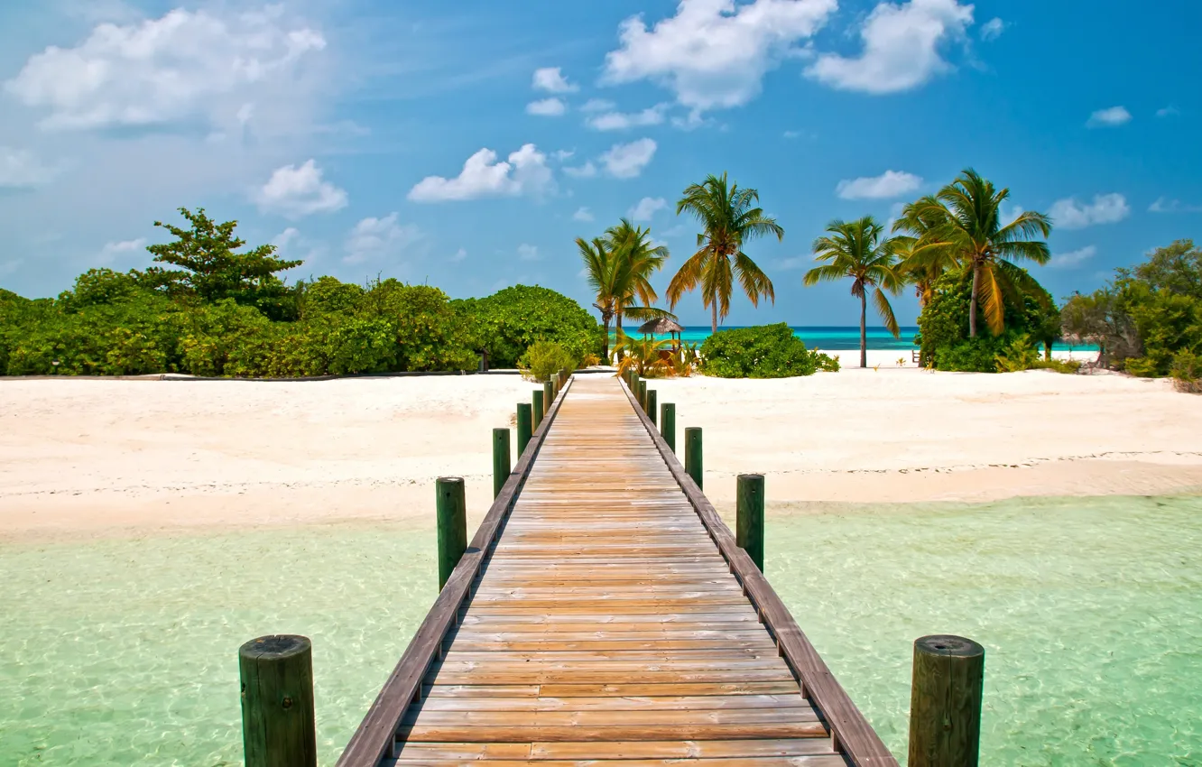 Photo wallpaper beach, the sky, bridge, palm trees, blue, landscapes, island, exotic