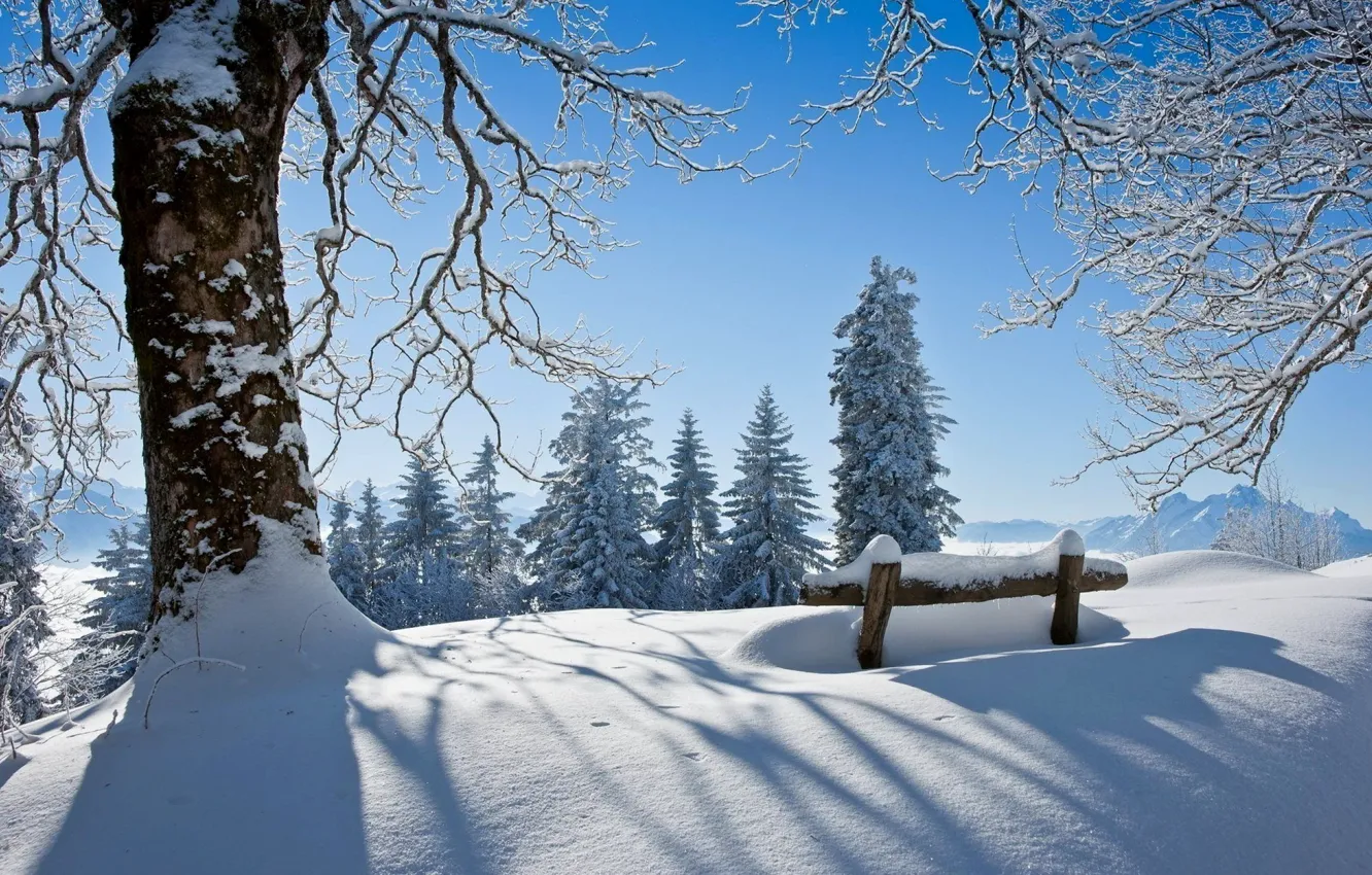 Photo wallpaper winter, forest, the sky, snow, landscape, bench, nature, Park
