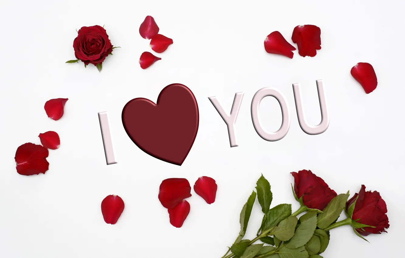 Photo wallpaper love, roses, petals, valentine's day