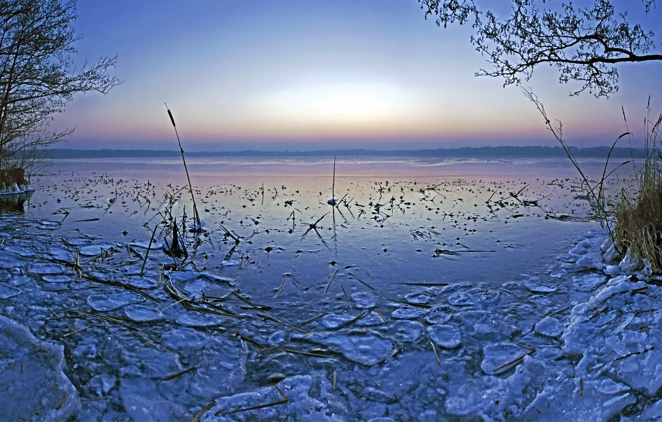 Photo wallpaper ice, winter, forest, the sky, water, branches, lake, pond