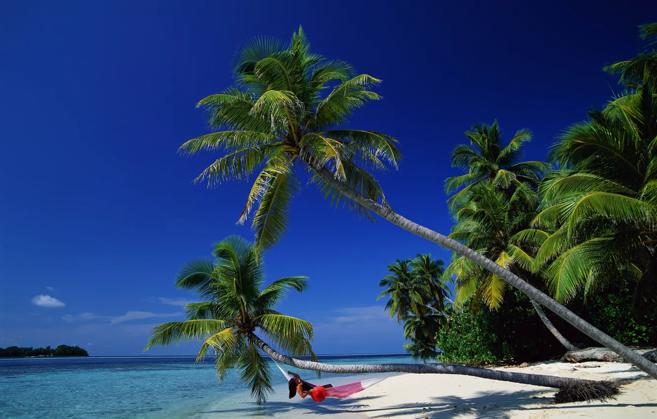 Photo wallpaper sea, palm trees, relax, hammock, Bay, bounty