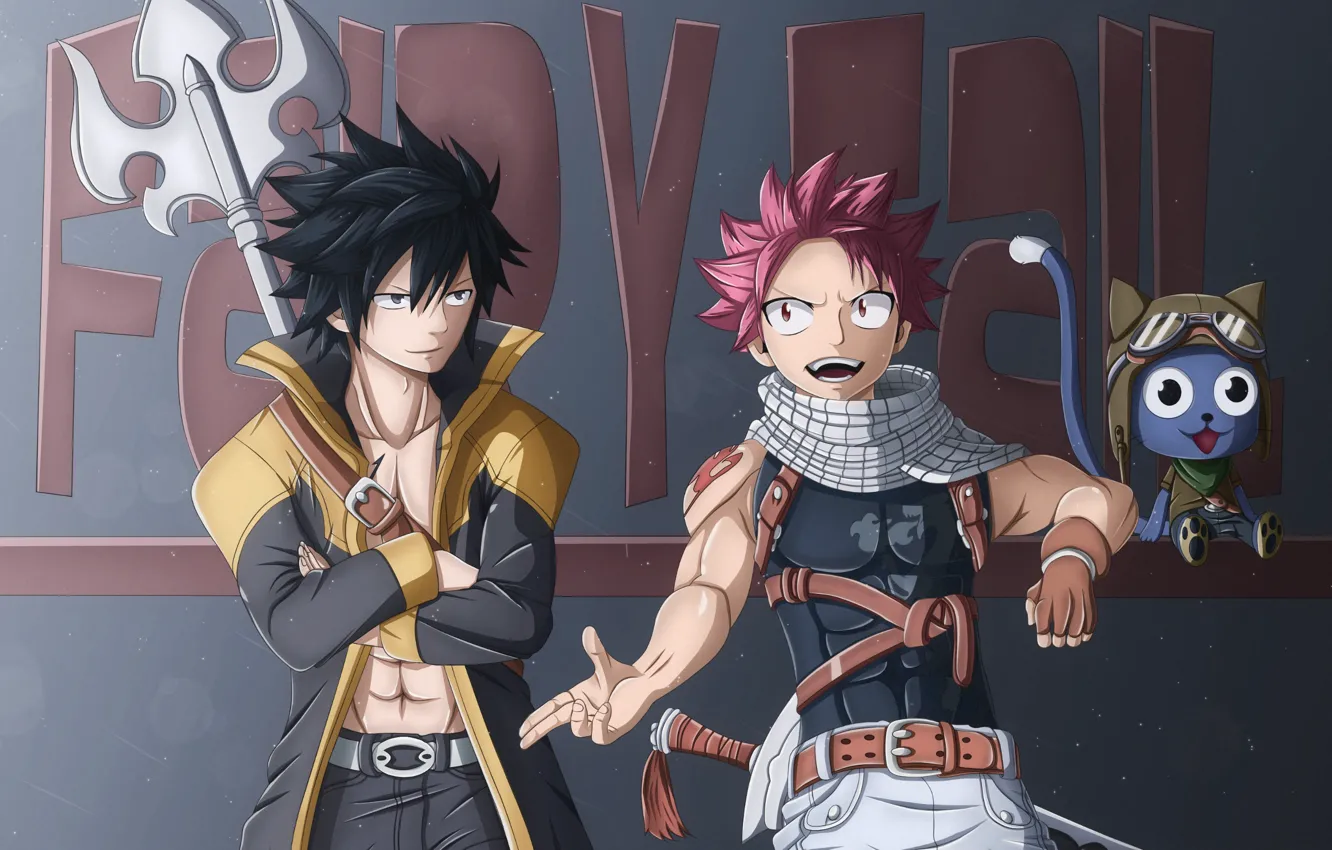Photo wallpaper cat, fairy tail, grey, Natsu, Fairy tail