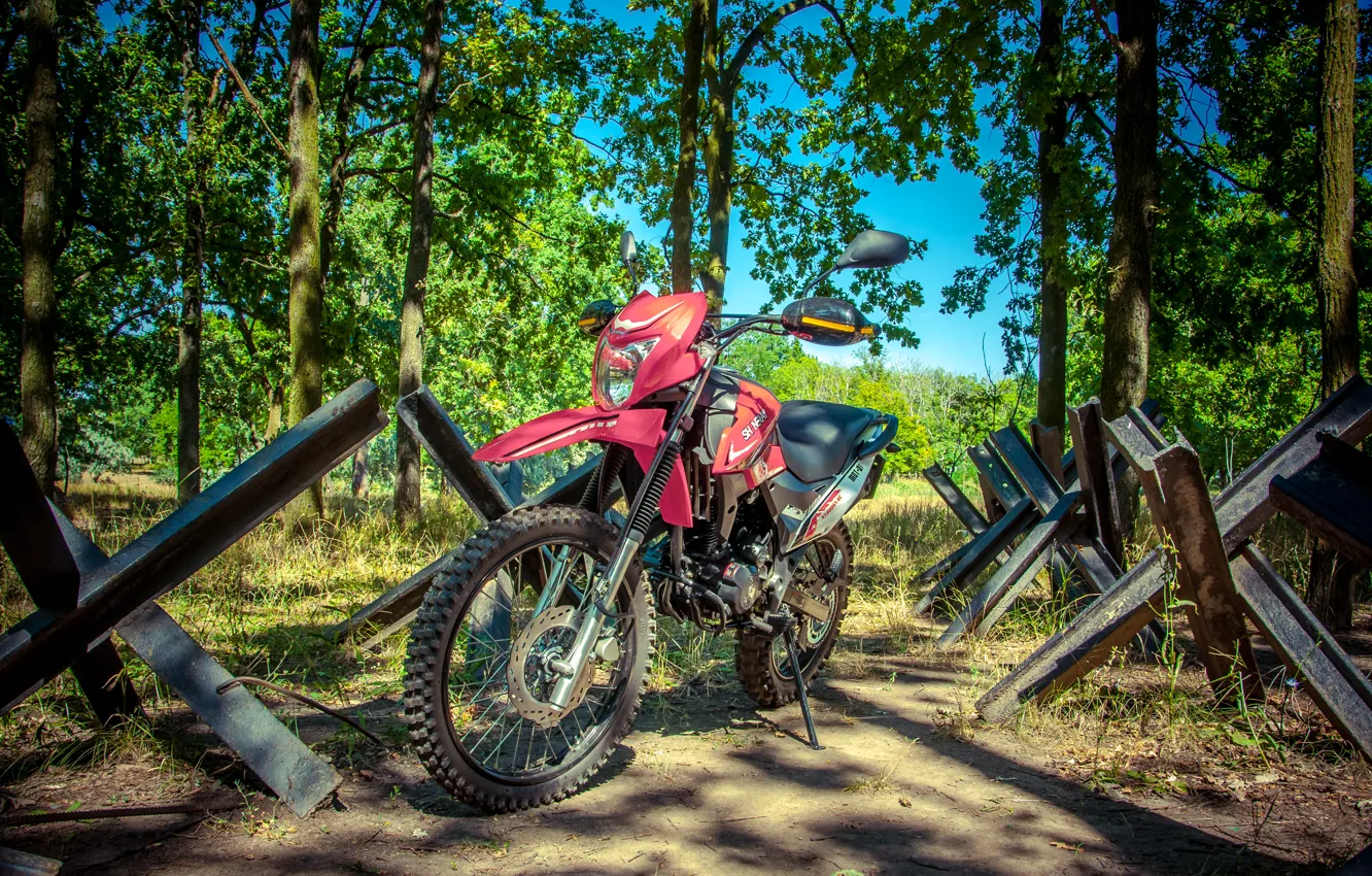 Photo wallpaper forest, trees, motocross, Shineray