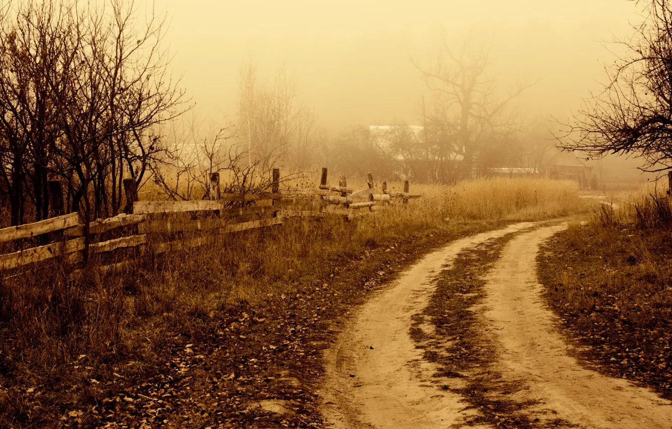 Photo wallpaper autumn, nature, village, November, toning, sad