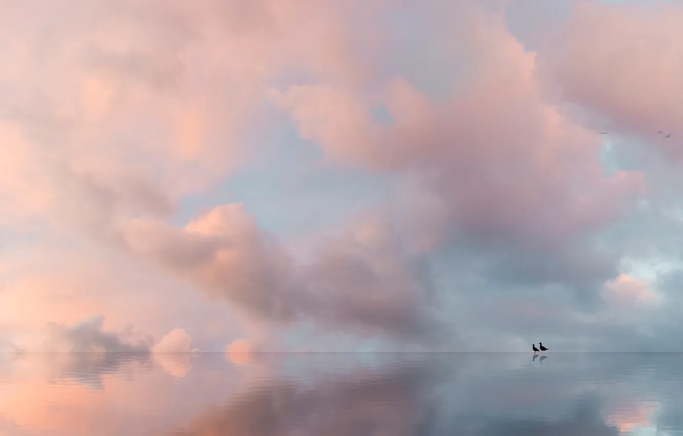 Photo wallpaper the sky, water, clouds, landscape, nature, fog, dawn, bird