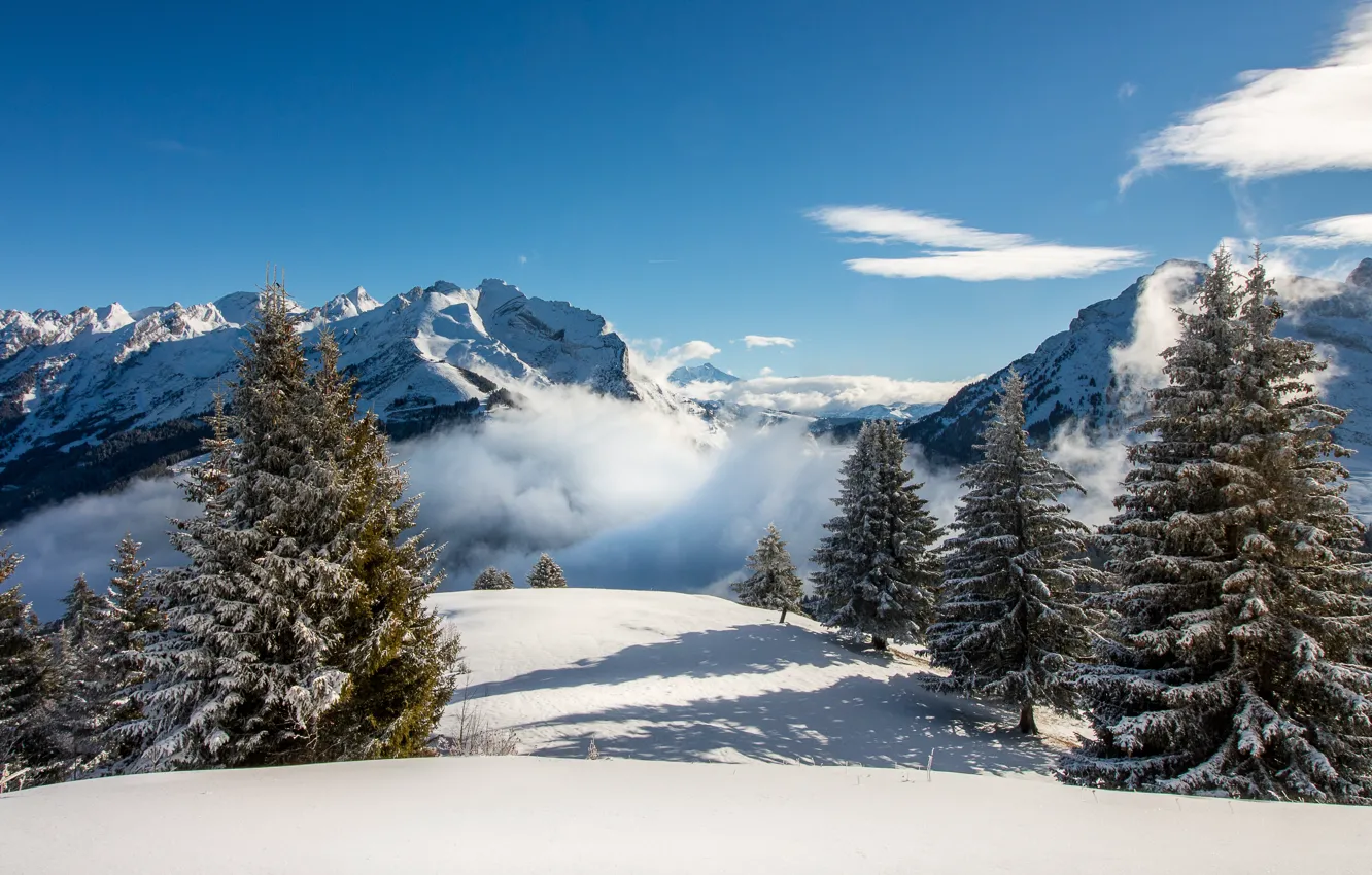 Photo wallpaper winter, the sky, snow, trees, landscape, mountains, nature, fog
