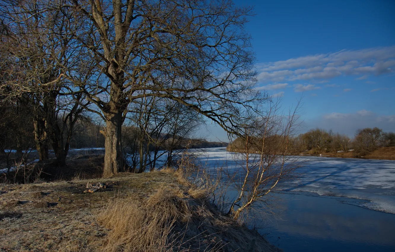 Photo wallpaper ice, river, tree, shore, morning
