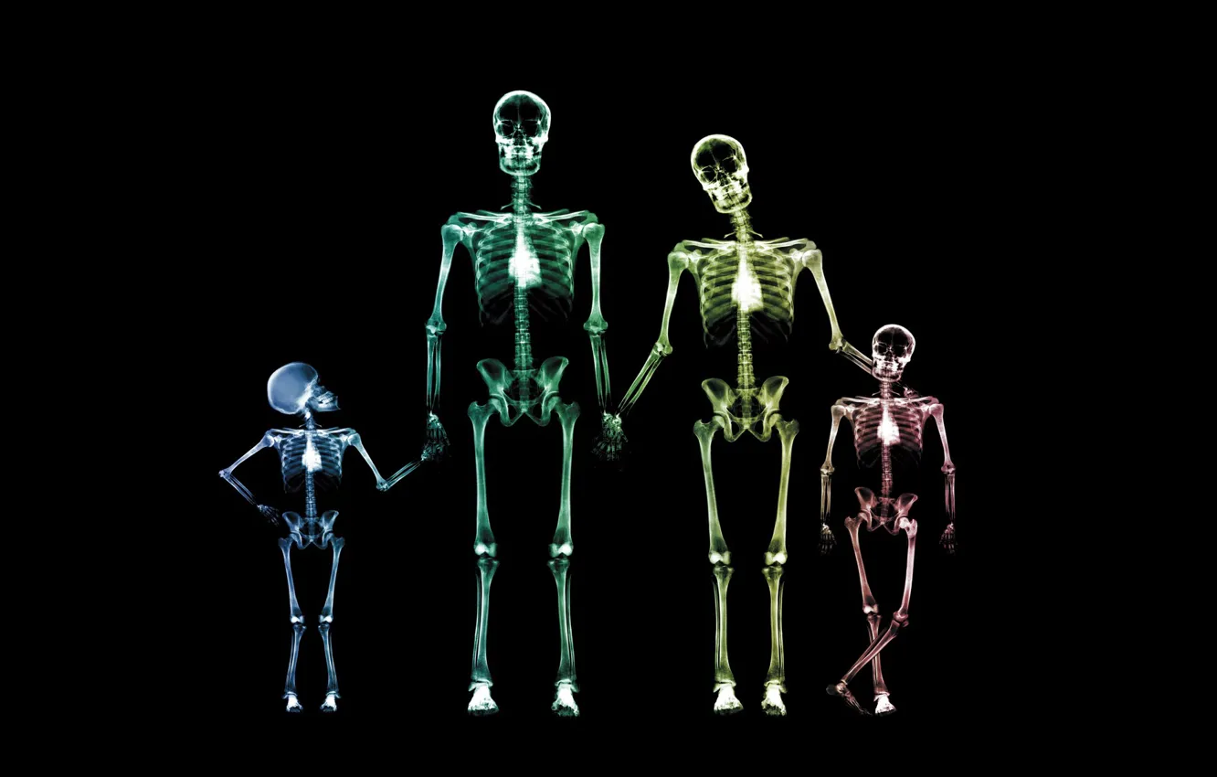 Photo wallpaper family, skeleton, x-ray