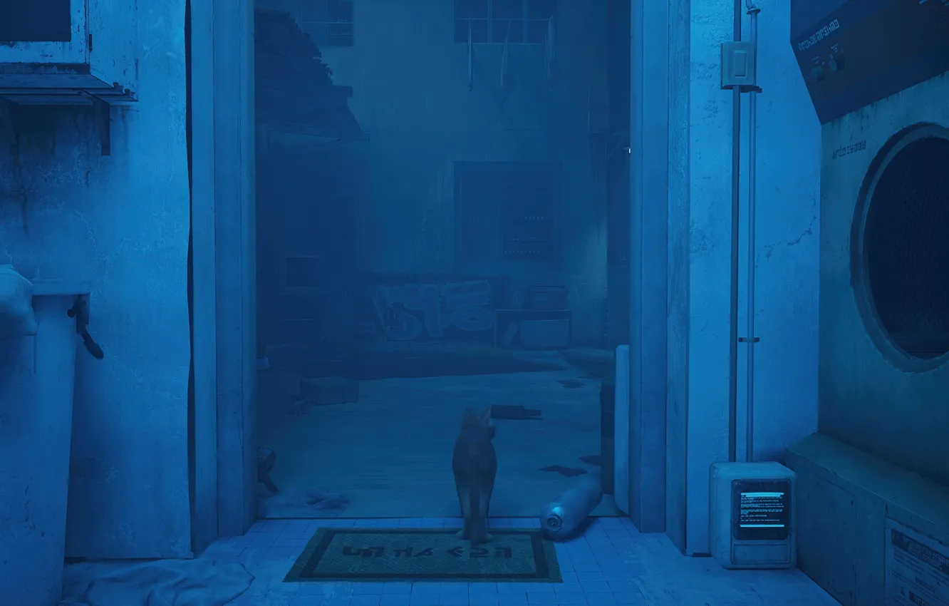 Photo wallpaper the game, cat, Stray