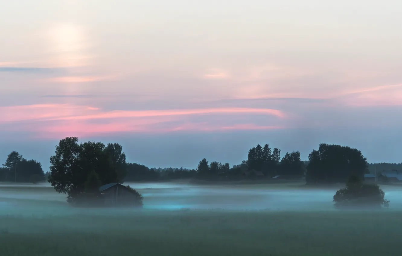 Photo wallpaper fog, morning, village, houses
