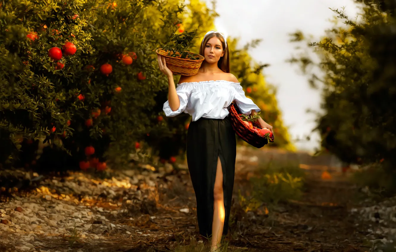 Photo wallpaper girl, trees, mood, basket, skirt, garden, harvest, the cut