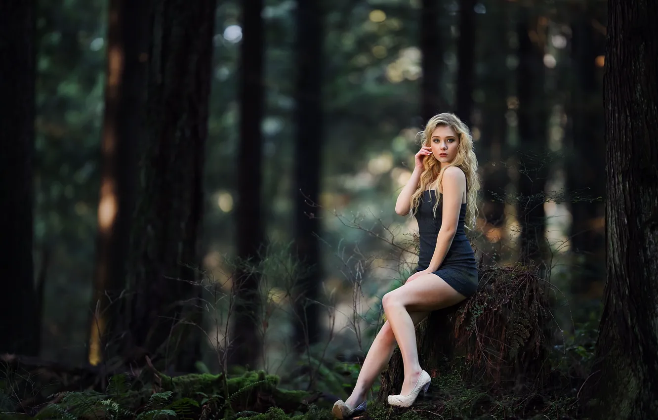 Photo wallpaper forest, look, girl, hair, moss, stump, blonde, legs