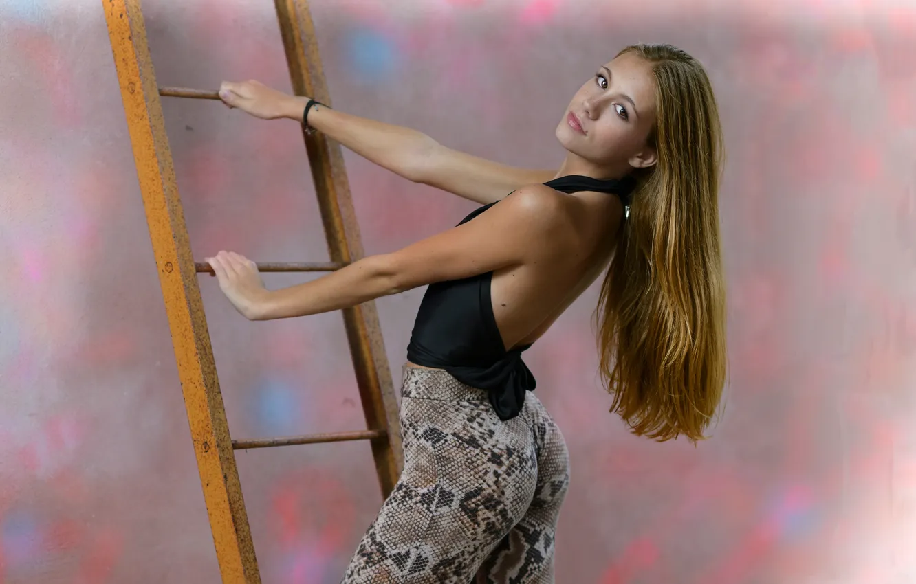 Photo wallpaper look, girl, pose, hair