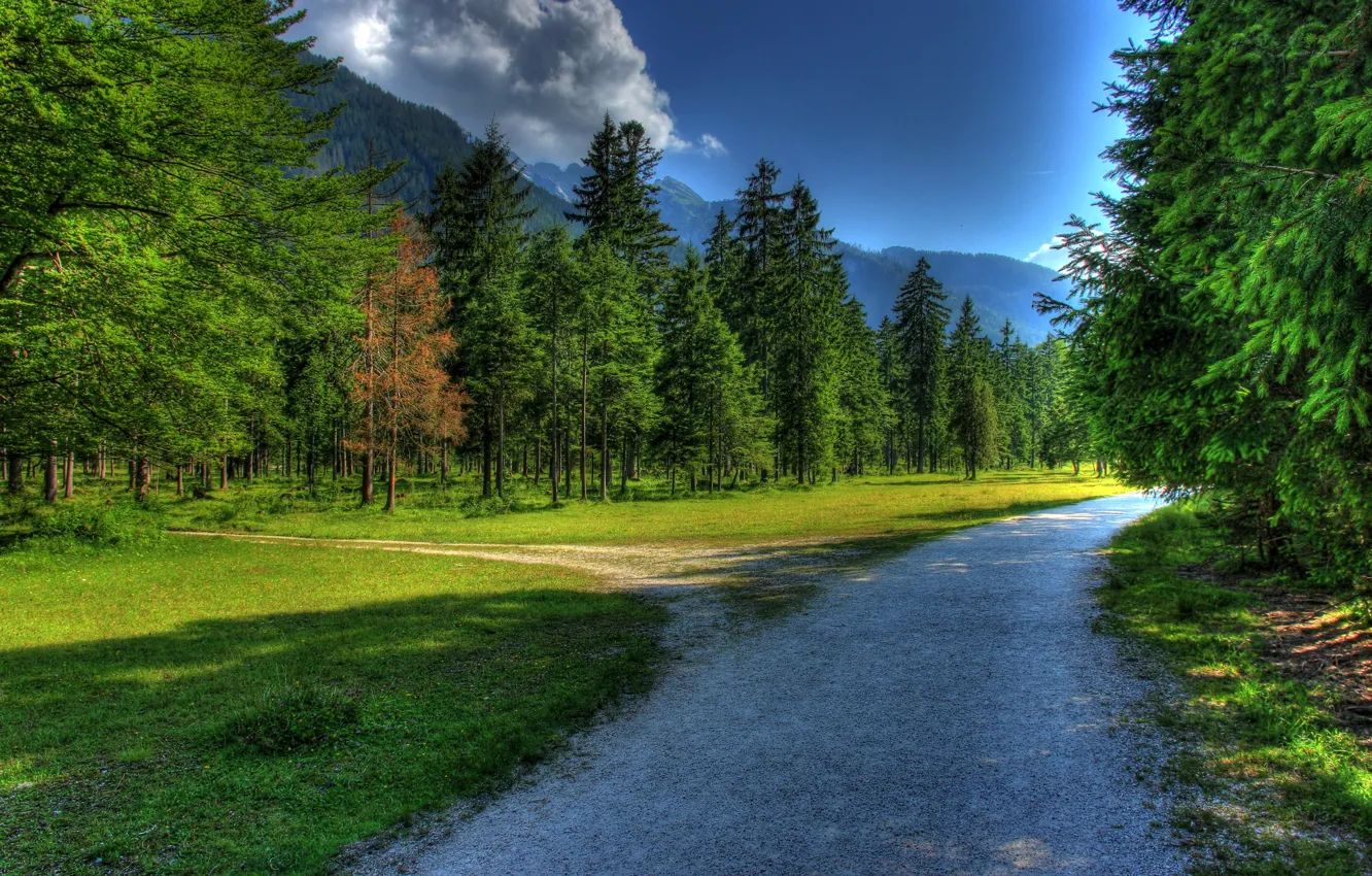 Photo wallpaper road, forest, the sky, grass, clouds, nature