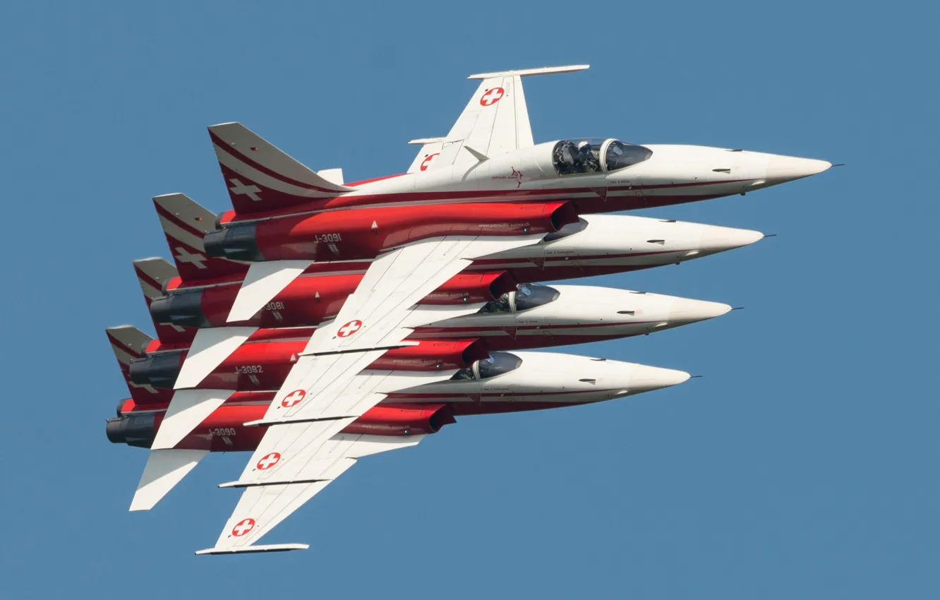 Photo wallpaper flight, fighter, show, multipurpose, Tiger II, F-5E, Tiger II