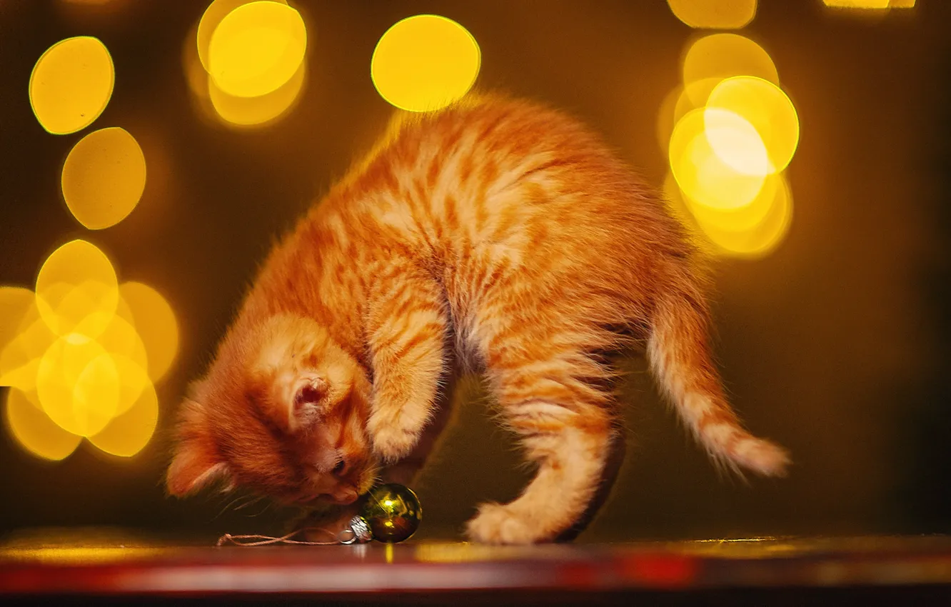 Photo wallpaper balls, animal, toy, cub, kitty, bokeh, Ksenia Lysenkova