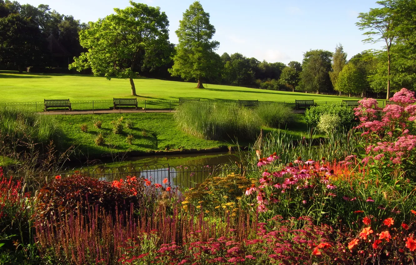 Photo wallpaper Park, London, nature, London, trees., gardens, prks