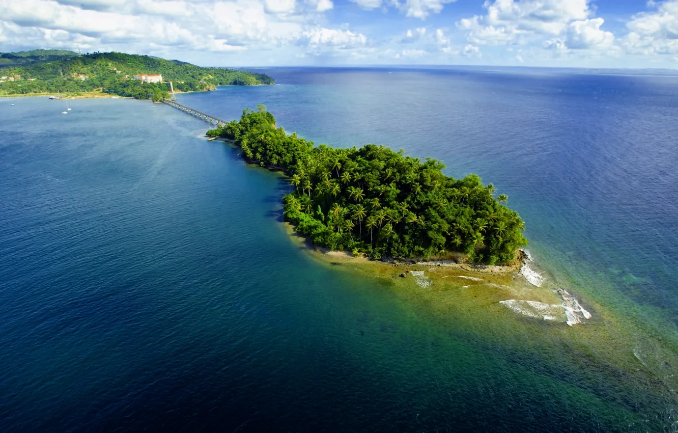 Photo wallpaper palm trees, the ocean, island