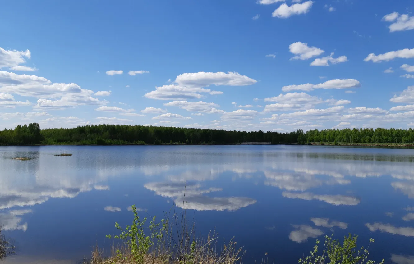 Photo wallpaper forest, summer, clouds, lake