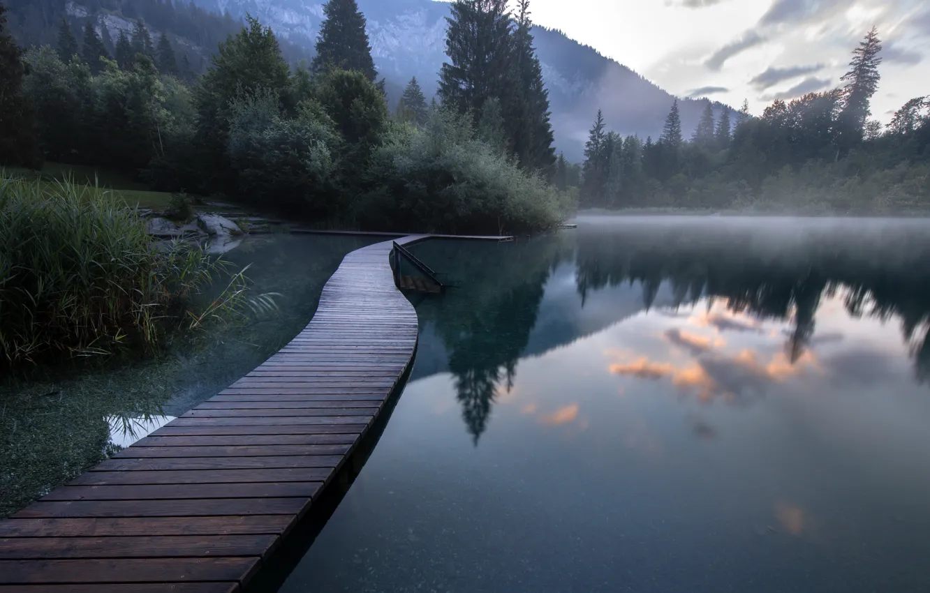 Photo wallpaper bridge, fog, lake