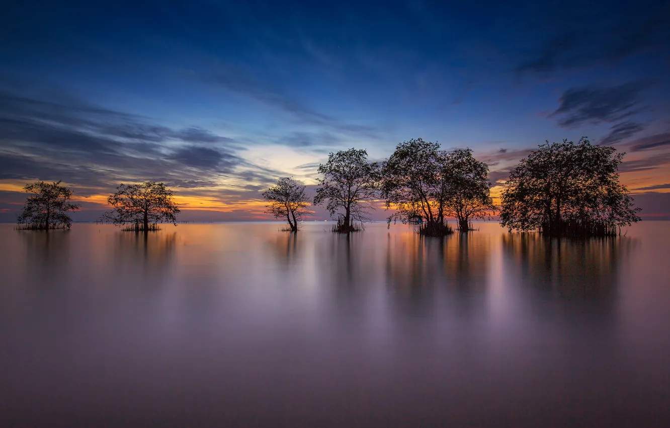 Photo wallpaper trees, lake, the evening, Thailand