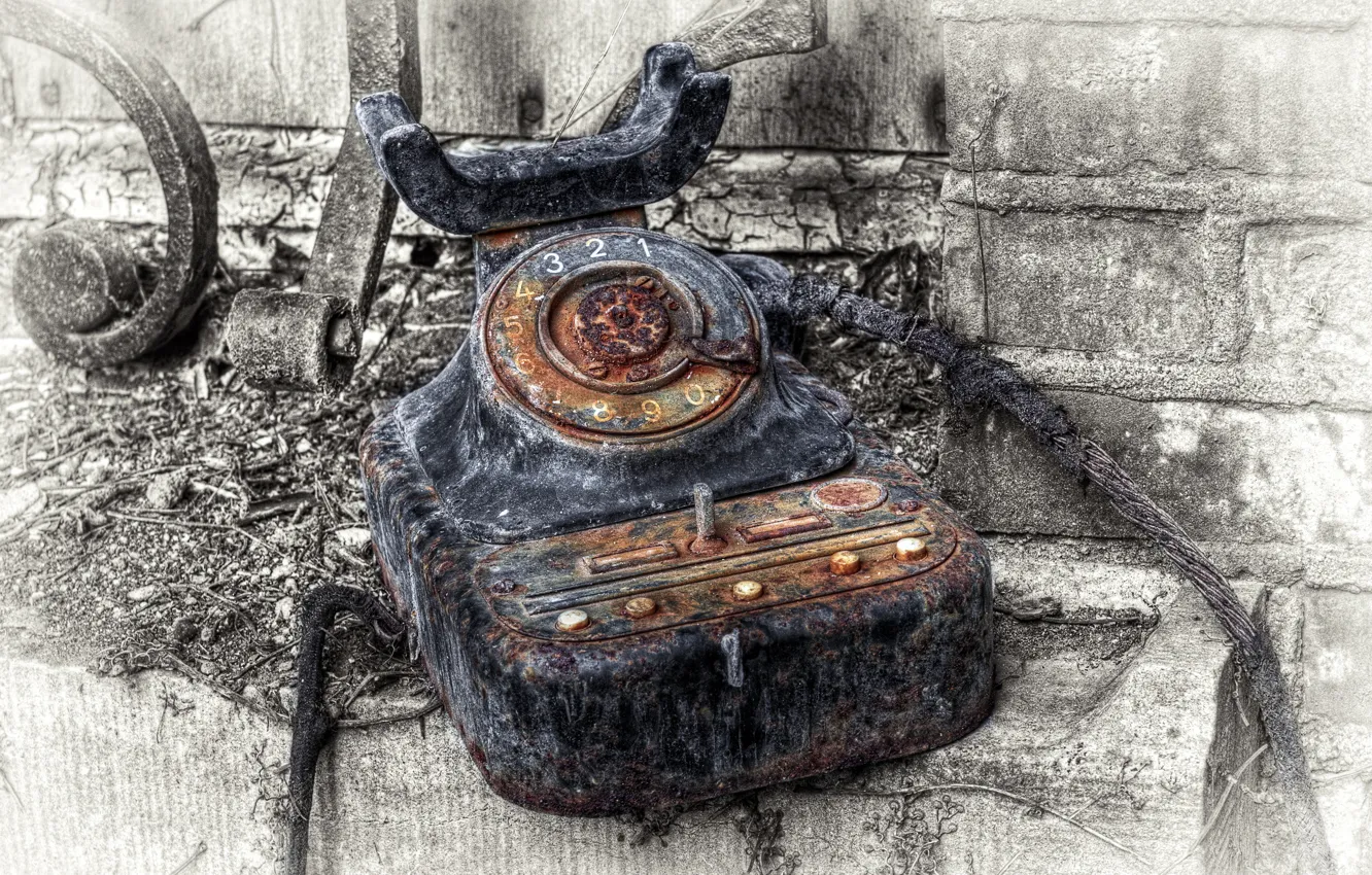 Photo wallpaper macro, background, phone