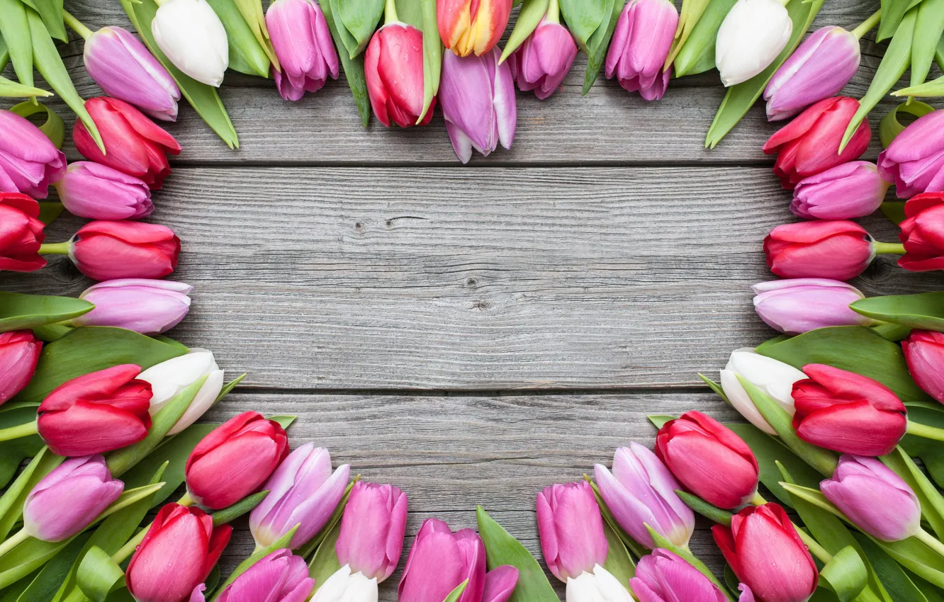 Photo wallpaper heart, Board, tulips
