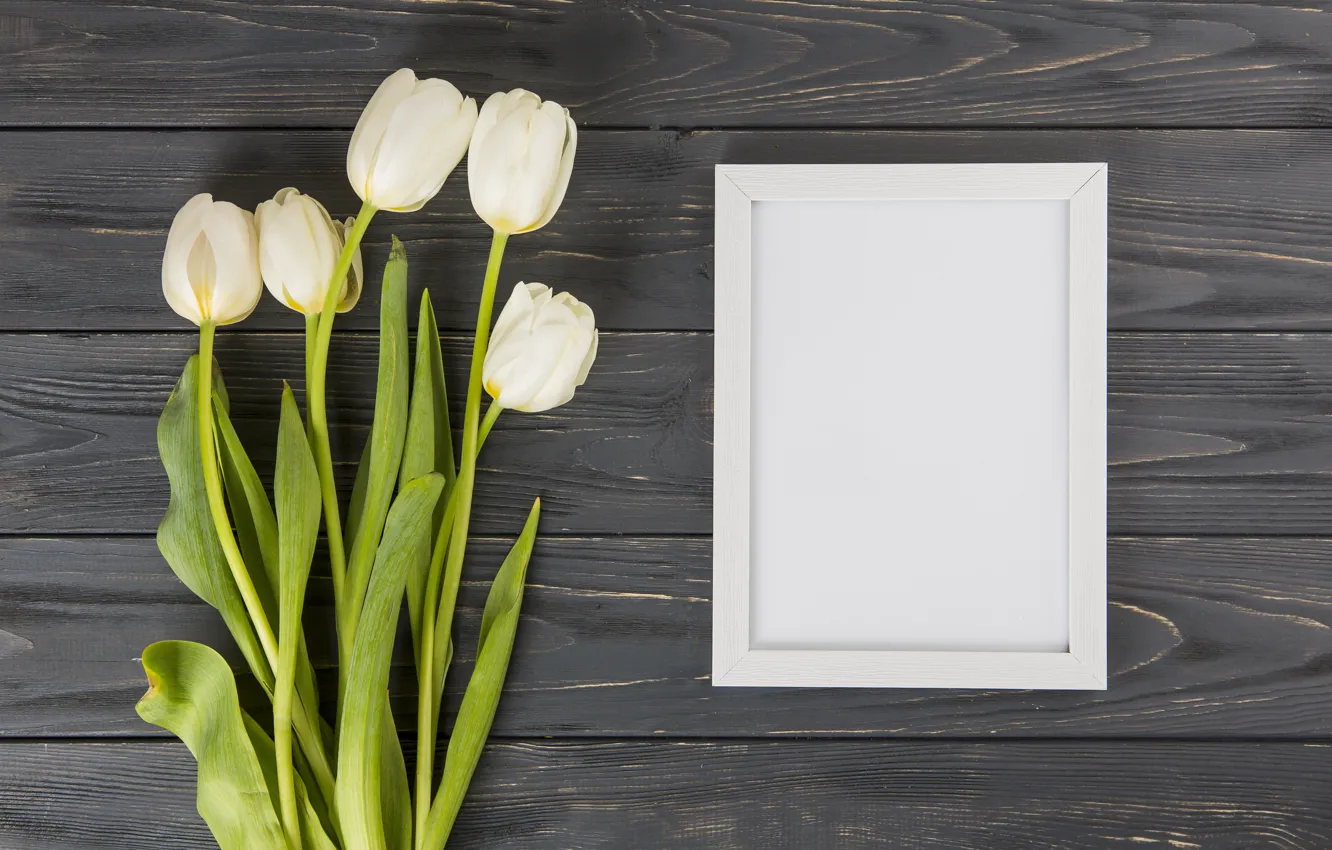 Photo wallpaper flowers, tulips, white, white, wood, flowers, beautiful, tulips