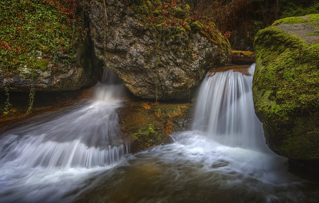 Photo wallpaper water, stones, vegetation, waterfall, moss, stream, waterfalls, boulders