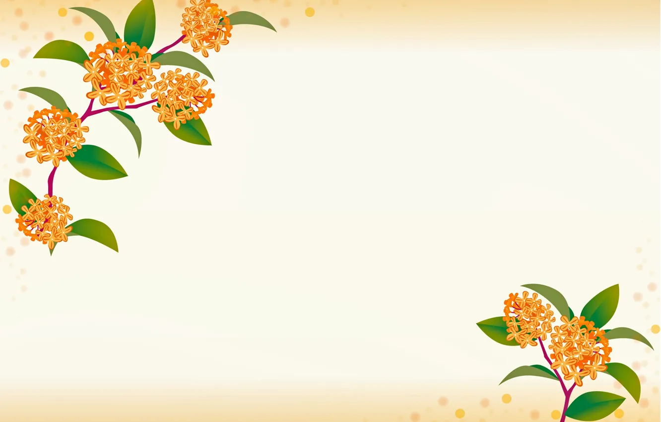 Photo wallpaper postcard, template, blank