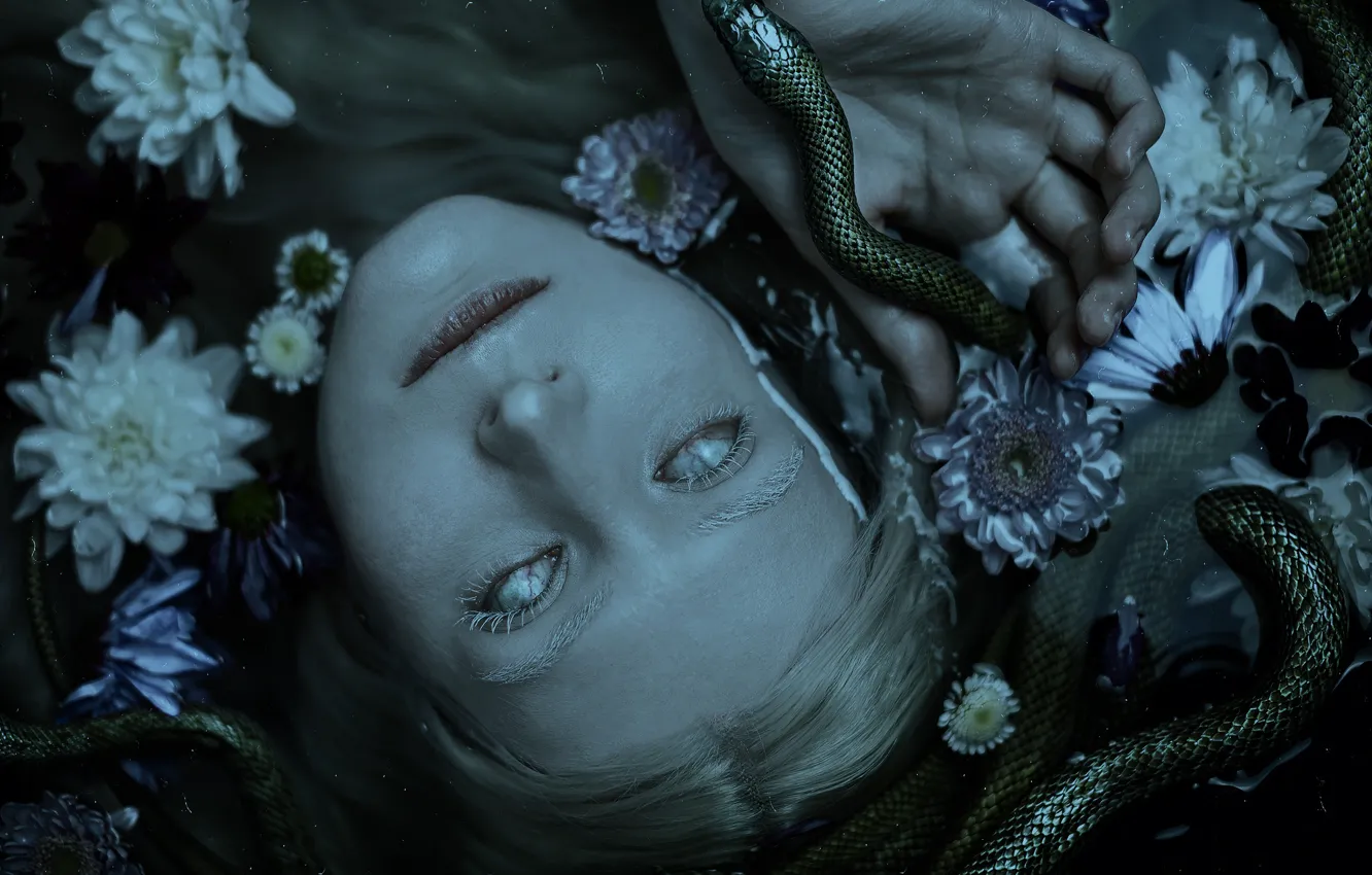 Photo wallpaper water, girl, flowers, face, the dark background, fear, portrait, snake