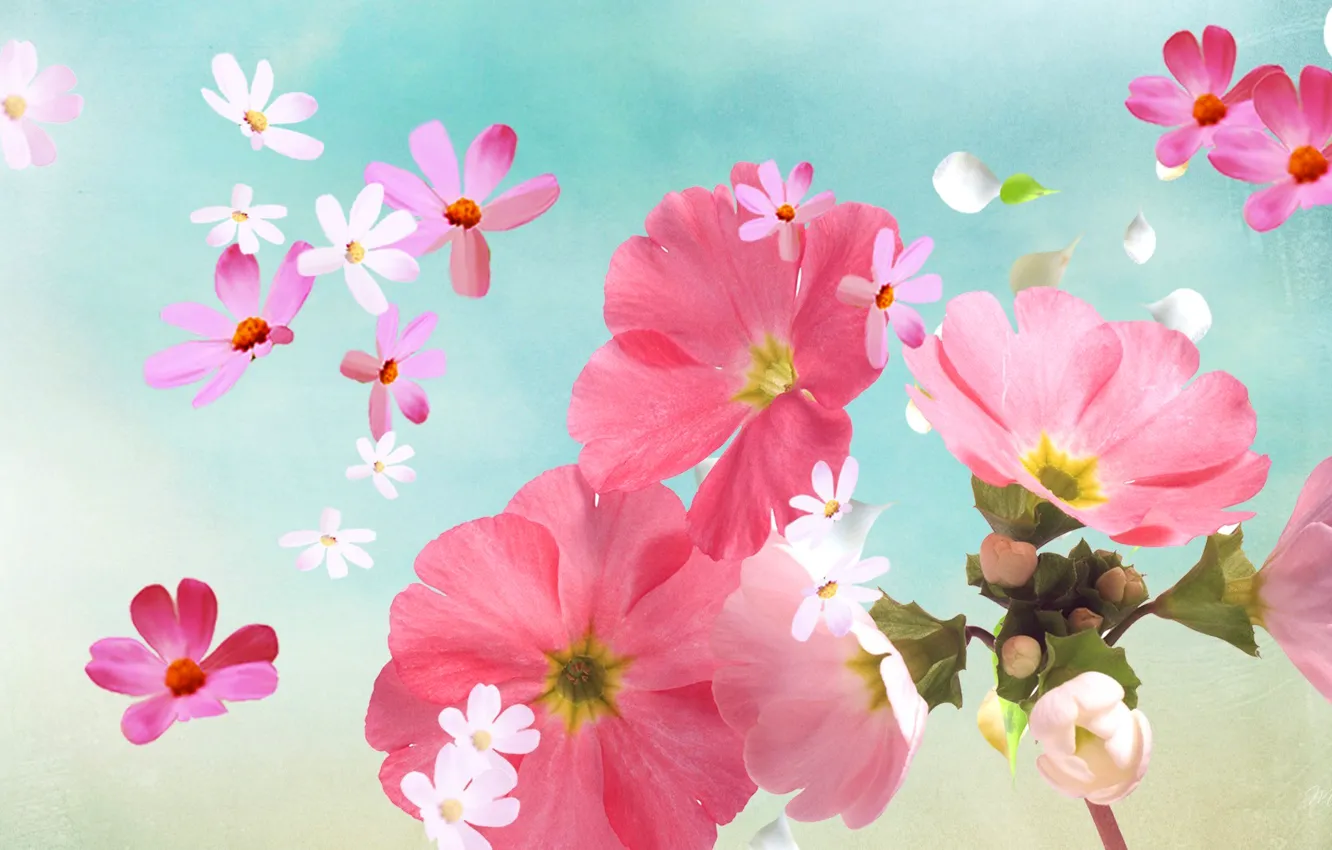 Photo wallpaper summer, the sky, collage, petals