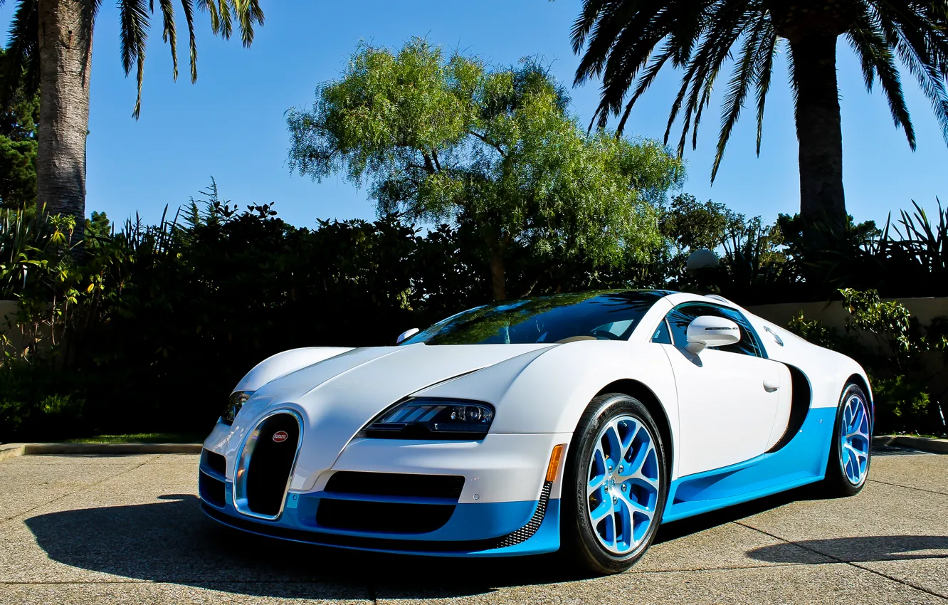 Photo wallpaper white, blue, palm trees, veyron, bugatti, Bugatti, Veyron, Vitesse